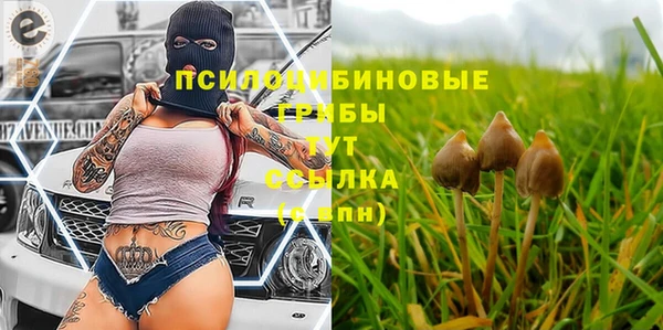 кокс Калининец