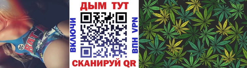 Бошки Шишки VHQ  Купить закладки  Абинск 